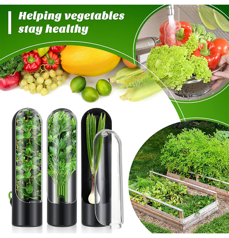 Herb Keeper Container - ผักสดขวดเก็บรักษาสมุนไพร Saver คอนเทนเนอร์ Fresh Herb Keeper