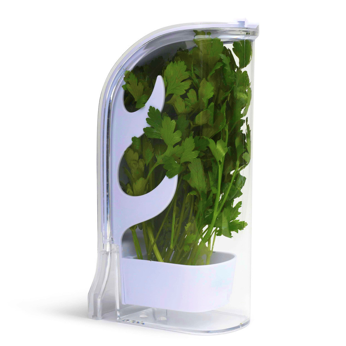 สมุนไพร Crisper Saver คอนเทนเน - Herb Keeper Container บทวิจารณ์และราคา