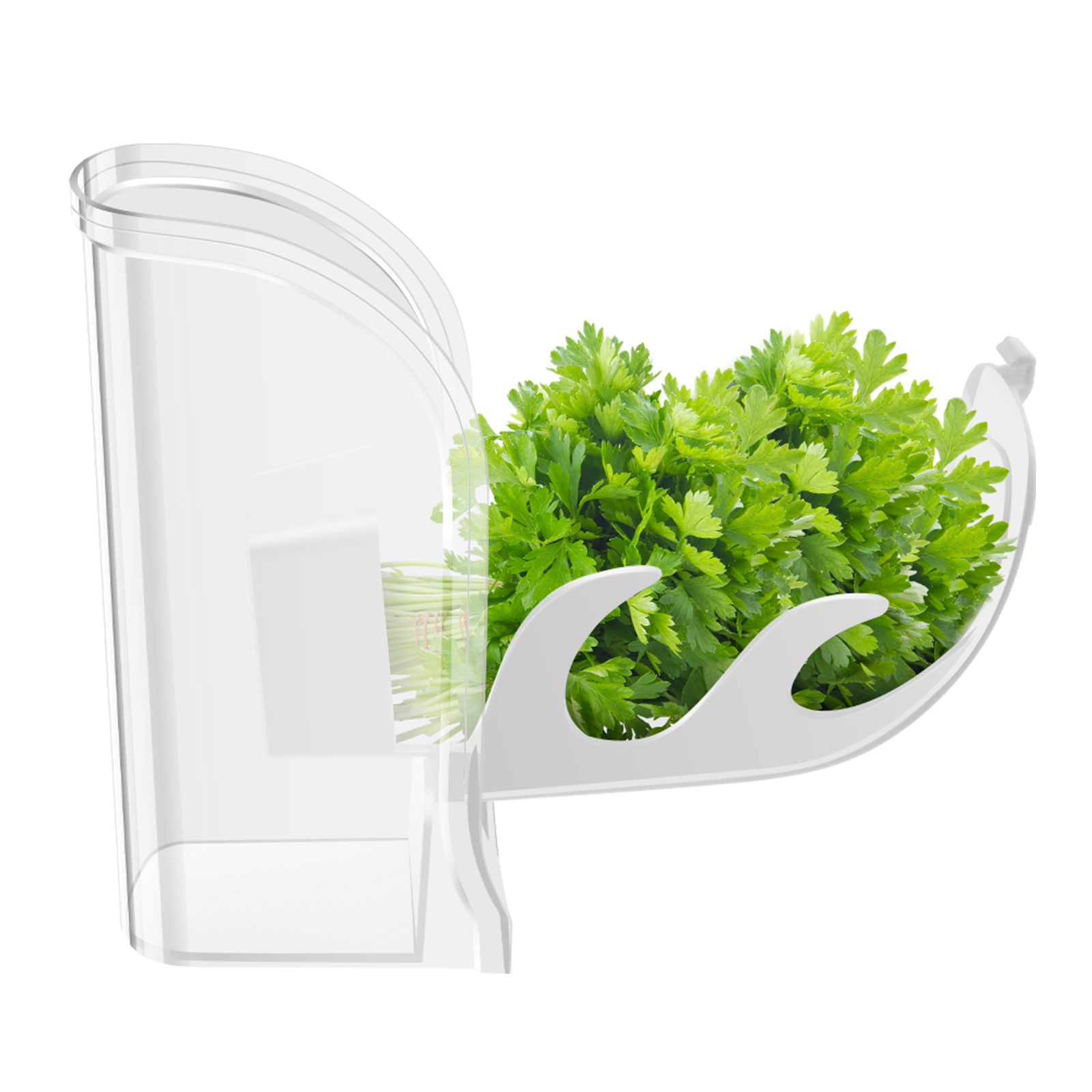 สมุนไพร Crisper Saver คอนเทนเน - Herb Keeper Container บทวิจารณ์และราคา
