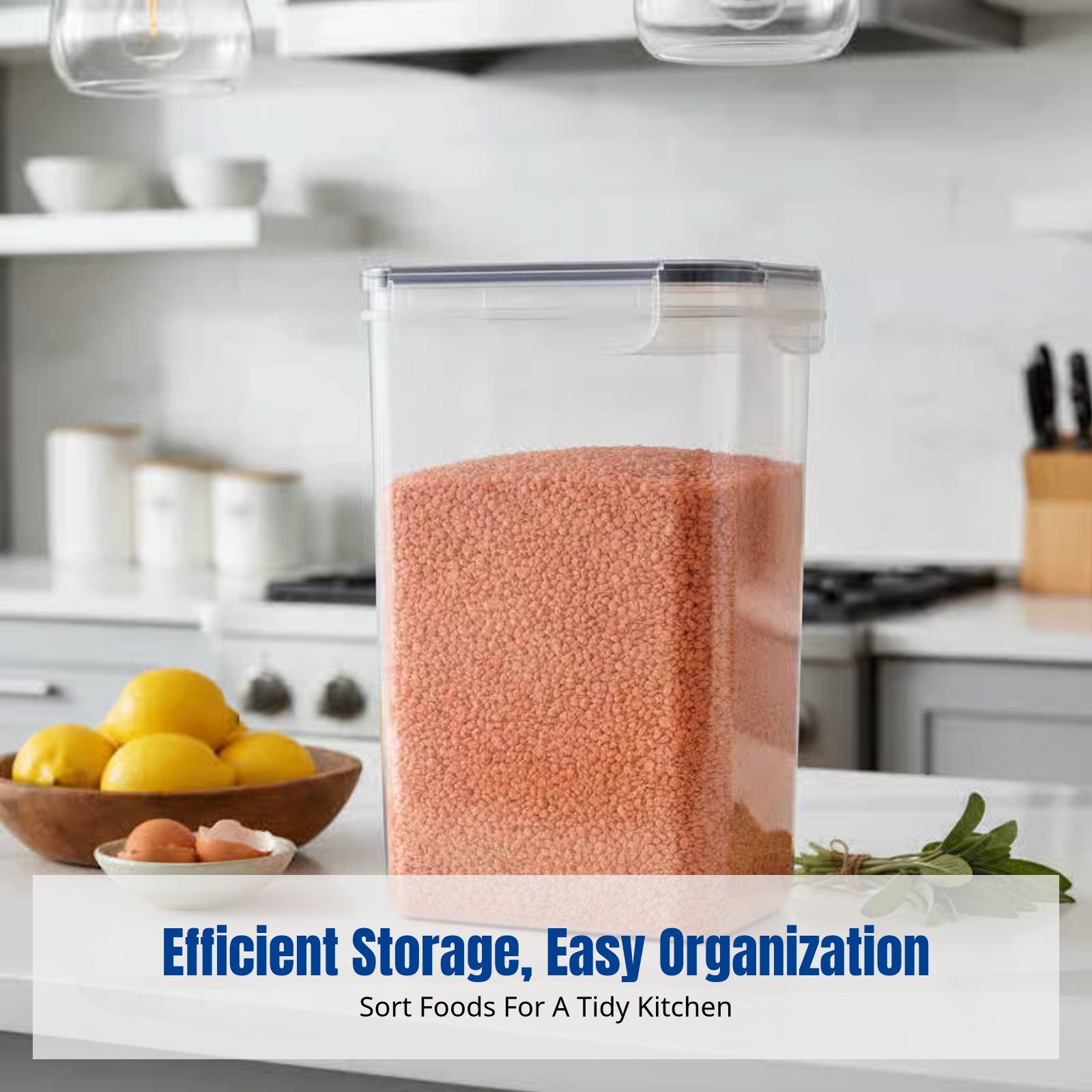 ชุดภาชนะเก็บอาหารสุญญากาศ ความ - Food Storage Large บทวิจารณ์และราคา