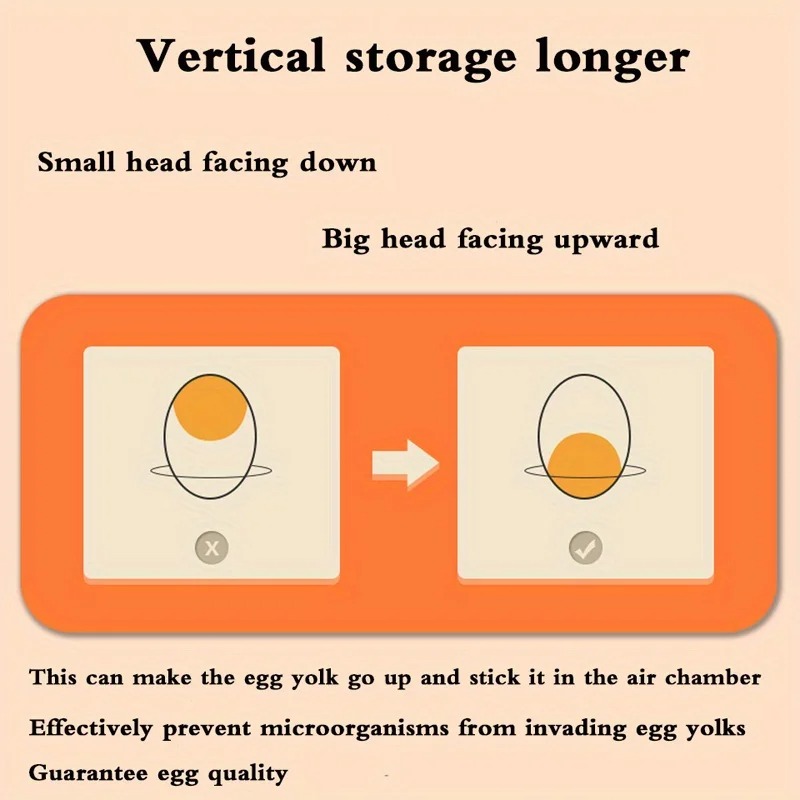 กล่องเก็บไข่ในครัว 1 ชิ้น สำหร - Food Storage Cabinet For Kitchen บทวิจารณ์และราคา