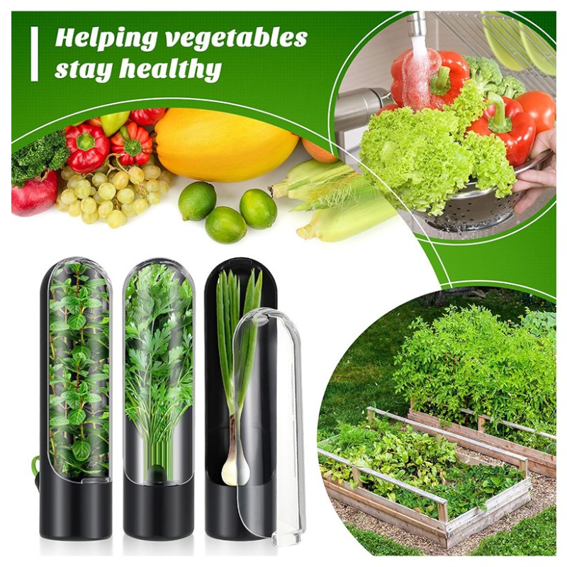 1/2/3 ชิ้น ภาชนะเก็บรักษาสมุนไ - Herb Keeper Container บทวิจารณ์และราคา