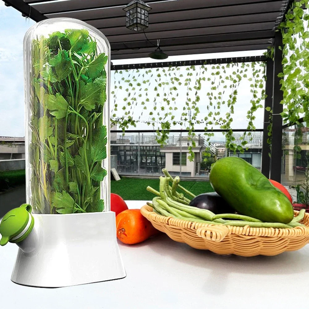 Herb Saver คอนเทนเนอร์ผักรักษา - Herb Keeper Container บทวิจารณ์และราคา
