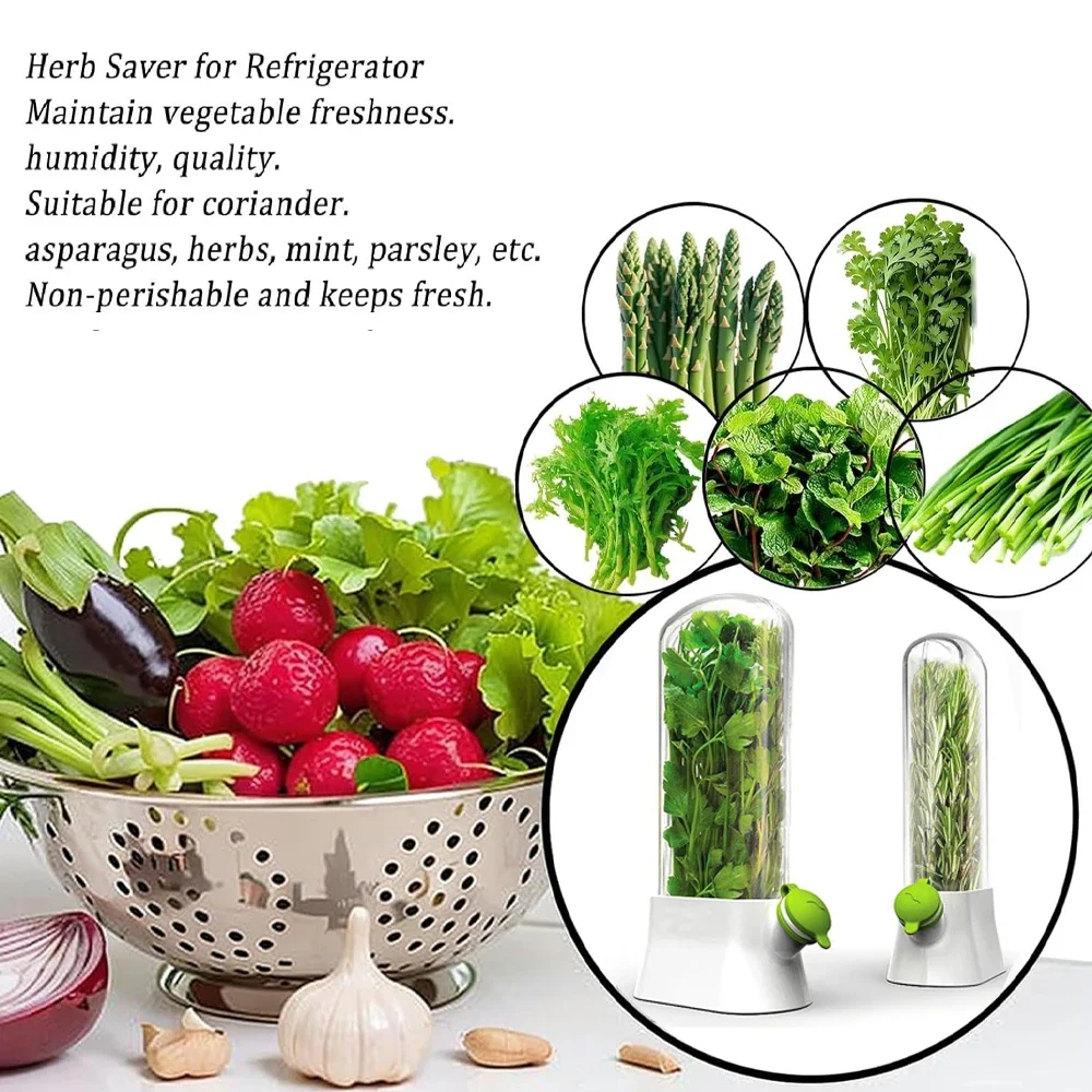 Herb Saver คอนเทนเนอร์ผักรักษา - Herb Keeper Container บทวิจารณ์และราคา