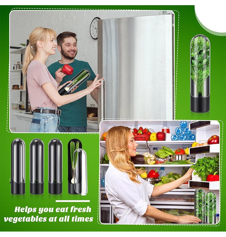 ผักสดขวดเก็บรักษาสมุนไพร Saver - Herb Keeper Container บทวิจารณ์และราคา